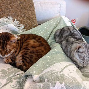 Meet your Posher, Martha